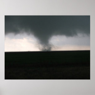 "Texas Tornado" Poster