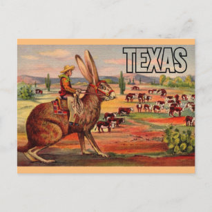 Texas Travel Greetings Postcard - Vintage Travel