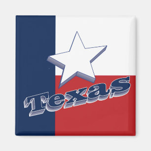Texas USA State Travel Souvenir Fridge Magnet