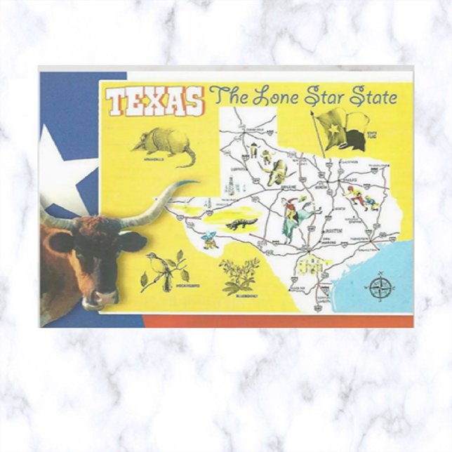 Texas Vintage Lone Star State Postcard (Creator Uploaded)