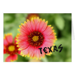 Texas Wildflower