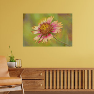 Texas Wildflower Indian Blanket Firewheel Art Poster