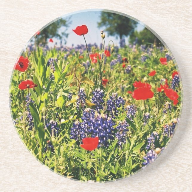 Texas Wildflowers Coaster (Front)