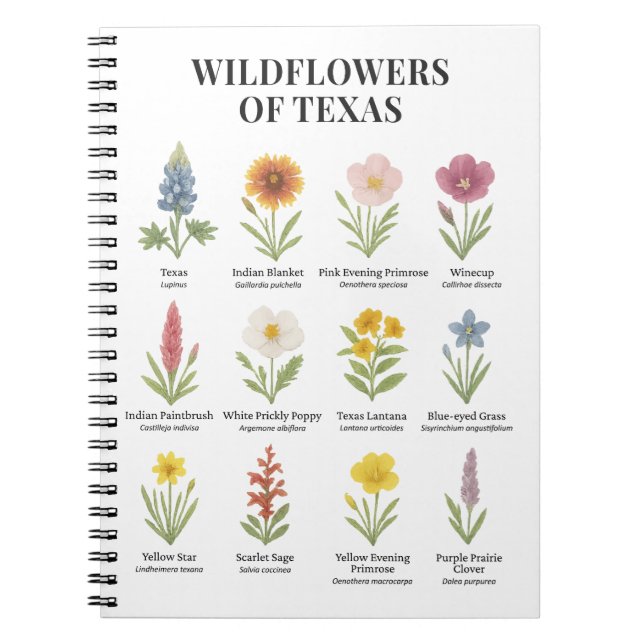 Texas Wildflowers in Watercolor Style Notebook (Front)
