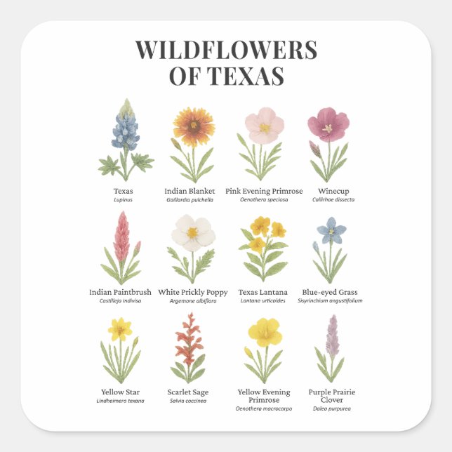 Texas Wildflowers in Watercolor Style Square Sticker (Front)