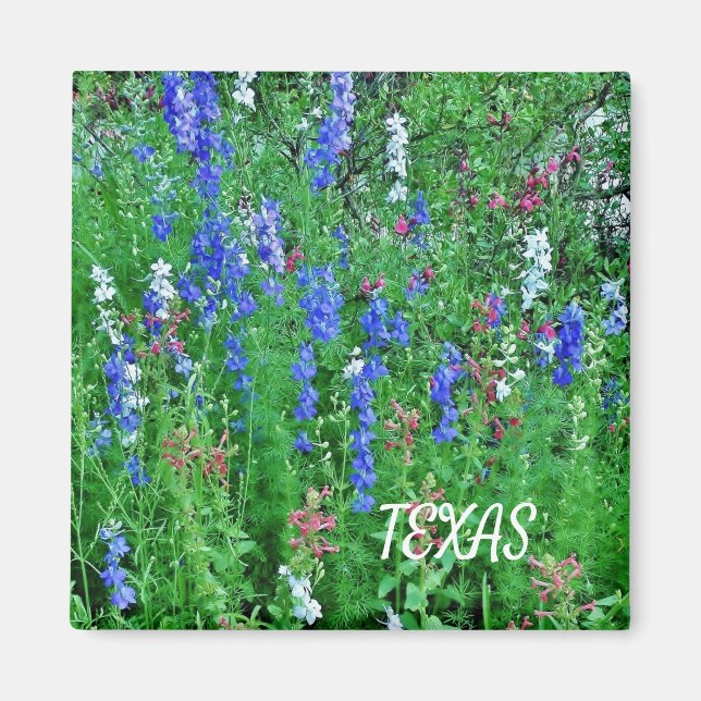 Texas Wildflowers Magnet (Front)
