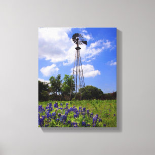 Texas Windmill Canvas Print