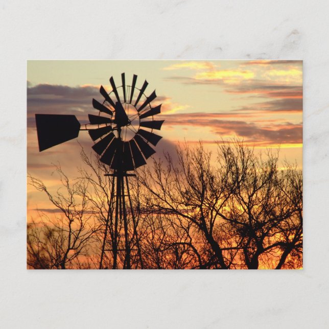 Texas windmill sunset postcard (Front)