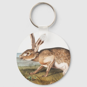 Texian Hare (Lepus Texianus) Rabbit Illustration Key Ring
