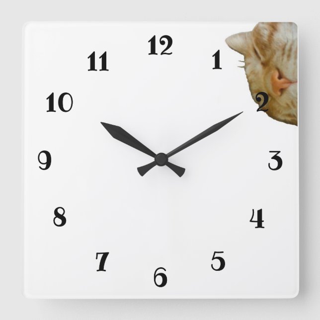 Text Custom SLEEPY CAT Acrylic Wall Clock (Front)