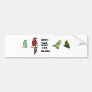 Texting While Driving Is For The Birds Sticker