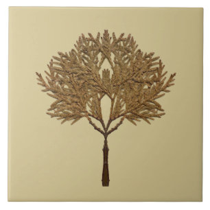 Textural Treasures of Winter on Ceramic Tile - D1