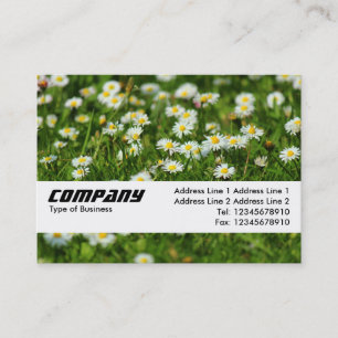 Texture Band - Daisy Meadow Business Card