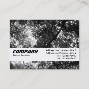 Texture Band - In the Trees Business Card