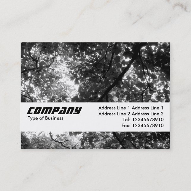 Texture Band - In the Trees Business Card (Front)