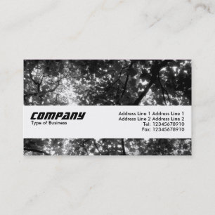 Texture Band - In the Trees II Business Card