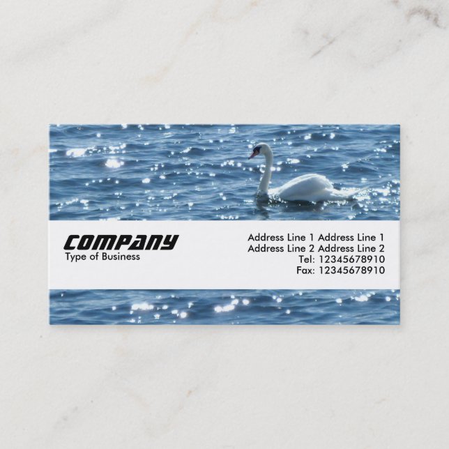 Texture Band - Swan Business Card (Front)