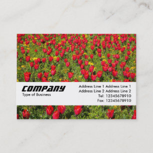 Texture Band - Tulips II Business Card