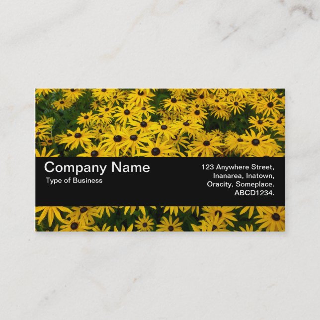 Texture Band V2 - Black-eyed Susans (Rudbeckia Hir Business Card (Front)