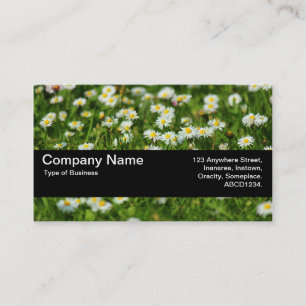 Texture Band V2 - Daisy Meadow Business Card