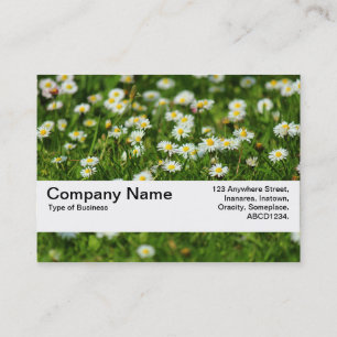 Texture Band V2 - Daisy Meadow Business Card