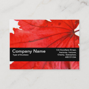 Texture Band V2 - Japanese Leaf Maple Business Card