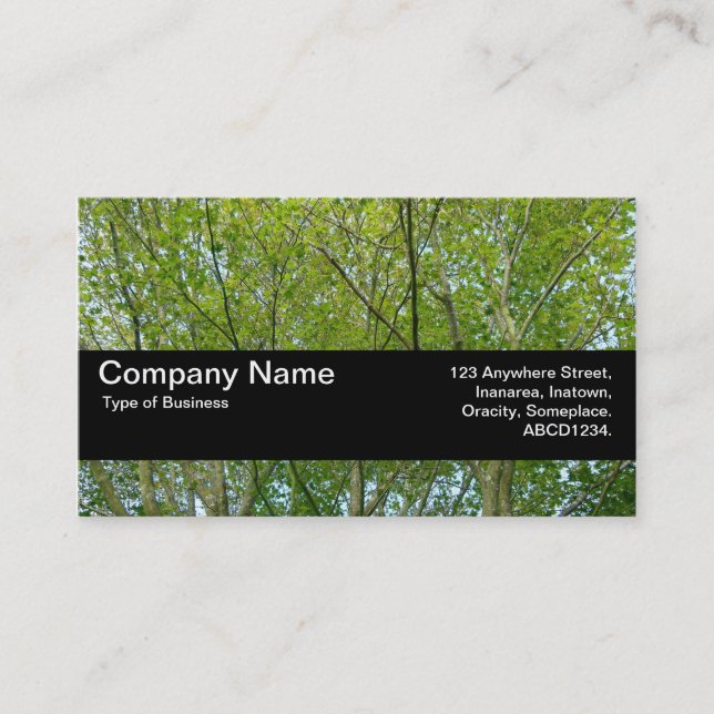 Texture Band V2 - Japanese Maple Business Card (Front)