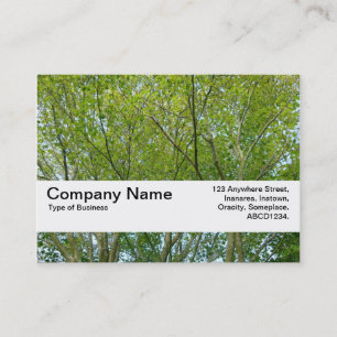 Texture Band V2 - Japanese Maple Business Card