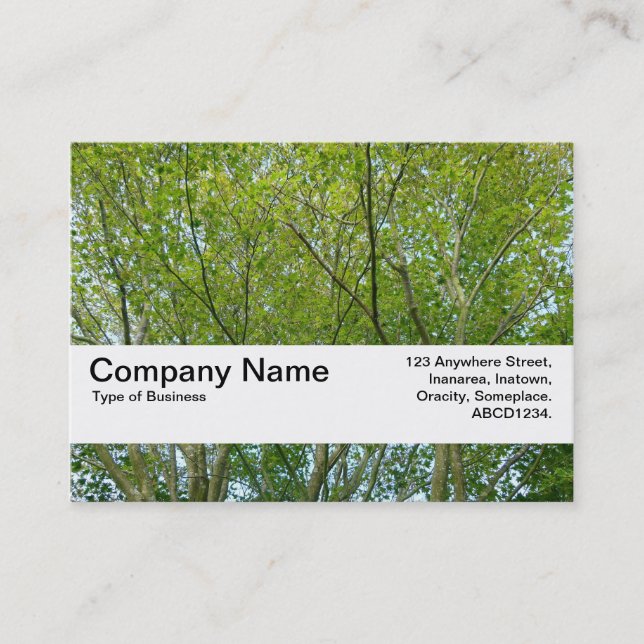 Texture Band V2 - Japanese Maple Business Card (Front)