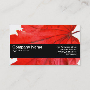 Texture Band V2 - Japanese Maple Leaf Business Card