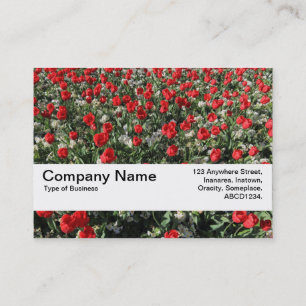 Texture Band V2 - Red Tulips and Primroses Business Card