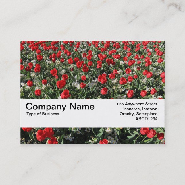 Texture Band V2 - Red Tulips and Primroses Business Card (Front)