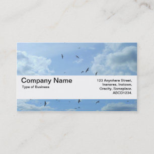 Texture Band V2 - Sky and Seagulls Business Card