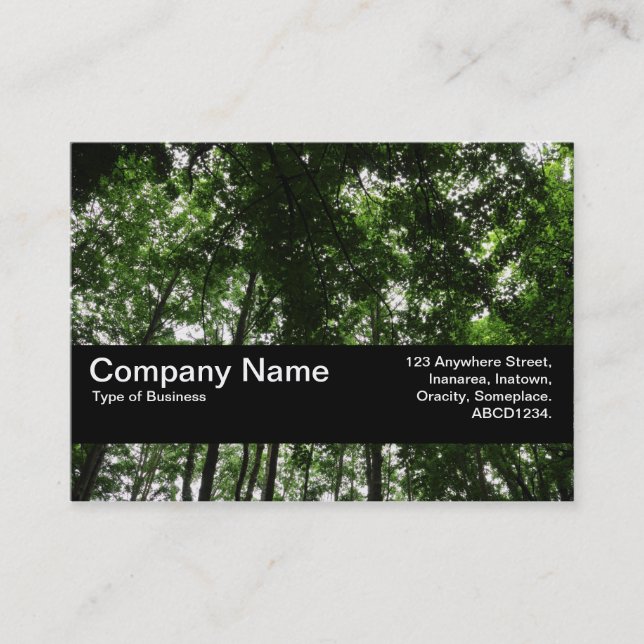 Texture Band V2 - Woodland Canopy 01 Business Card (Front)