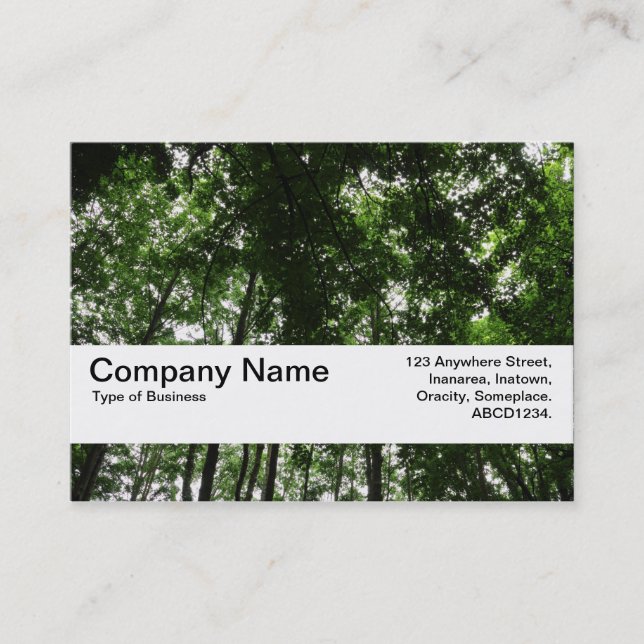 Texture Band V2 - Woodland Canopy 01 Business Card (Front)