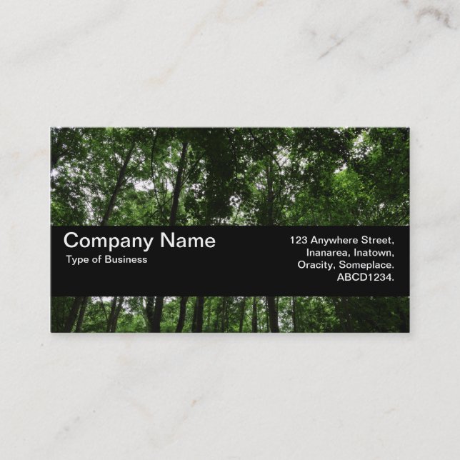 Texture Band V2 - Woodland Canopy 02 Business Card (Front)