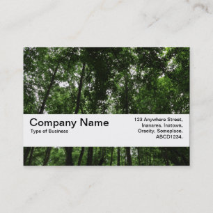 Texture Band V2 - Woodland Canopy 02 Business Card