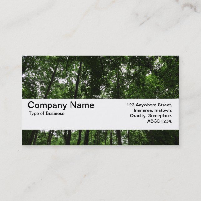 Texture Band V2 - Woodland Canopy 02 Business Card (Front)