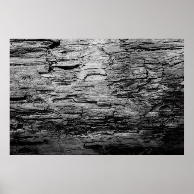 Texture black and white wood tree poster (Front)