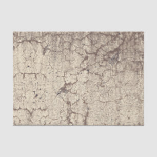 Texture Grunge Light Beige Rustic Vintage Antique Tissue Paper