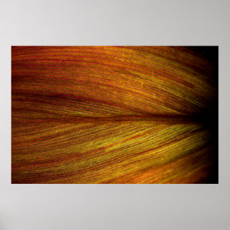 Texture nature leaf botany macro poster