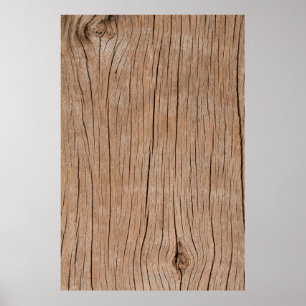 Texture of bark wood use as atural backgroundbackg poster