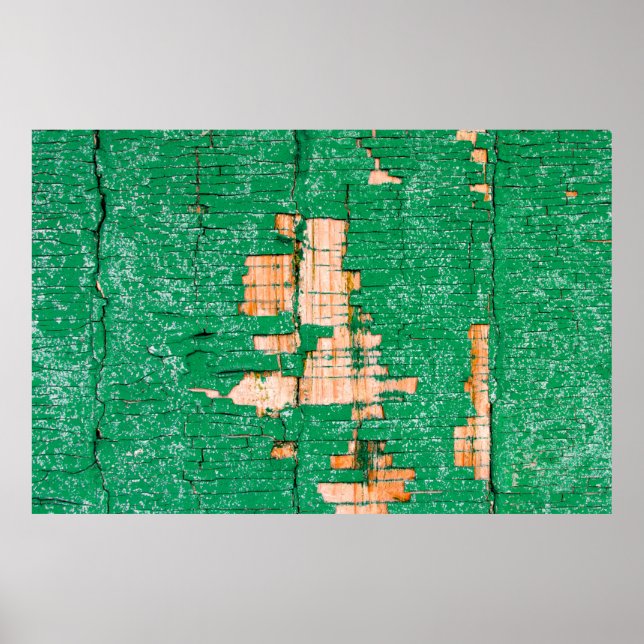 Texture of old wooden fence with shabby paint. Gre Poster (Front)