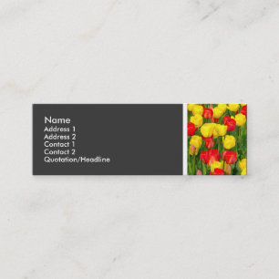 Texture Tone - Colourful Tulips Mini Business Card