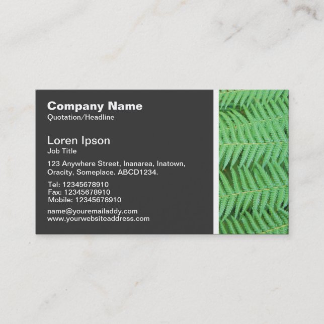 Texture Tone - Ferns Business Card (Front)