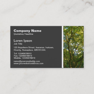 Texture Tone - Magnolia Tree Business Card