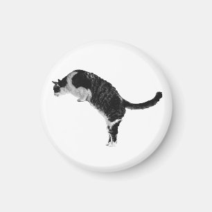 Textured Cat Magnet