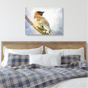 Textured Cedar Waxwing Canvas Print