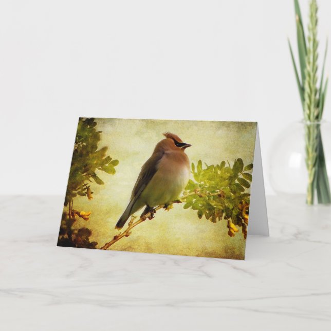Textured Cedar Waxwing Greeting Card (Front)
