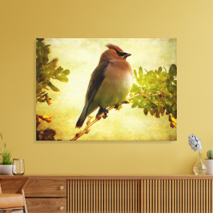 Textured Cedar Waxwing Stretch Canvas Print
